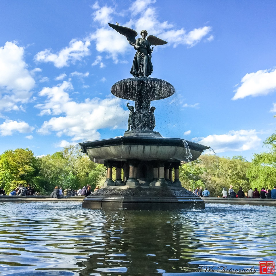 Spring in Central Park
